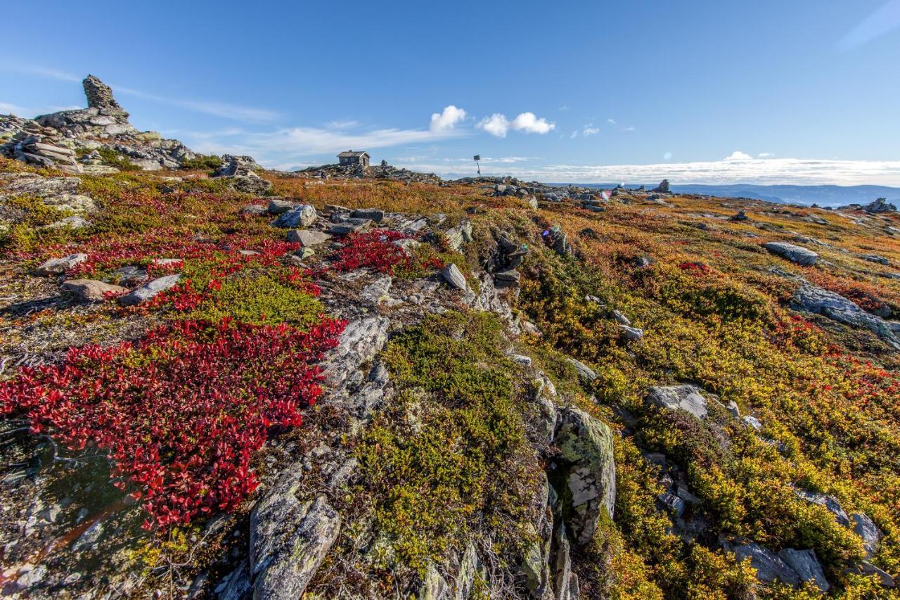 Skeikampen Leilighet, Veslesetervegen 973 F Lägenhet Svingvoll Exteriör bild