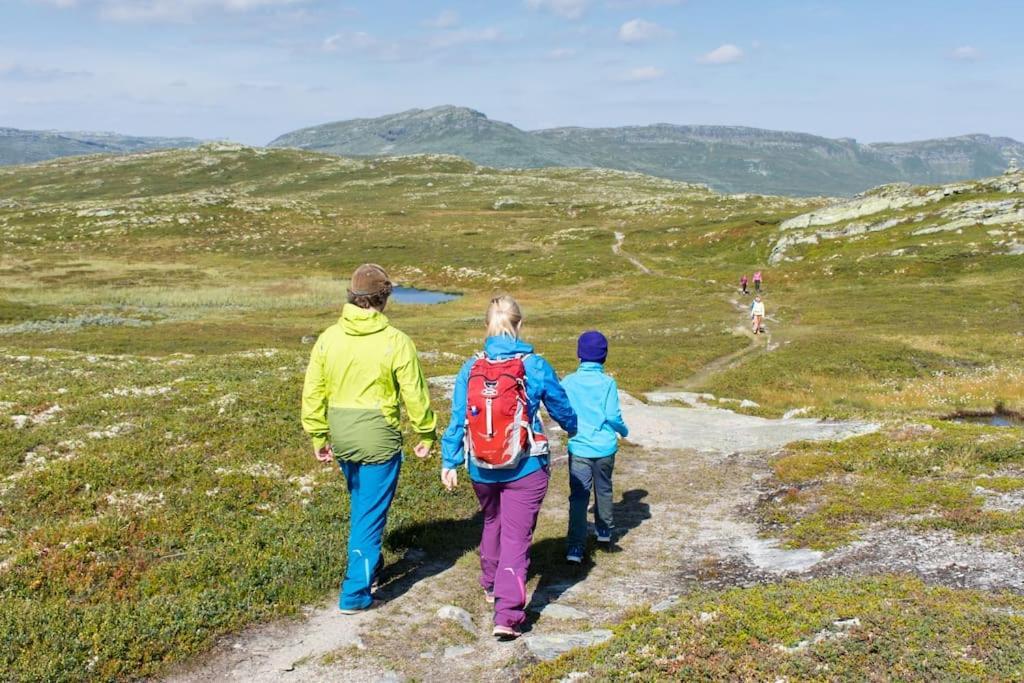 Skeikampen Leilighet, Veslesetervegen 973 F Lägenhet Svingvoll Exteriör bild