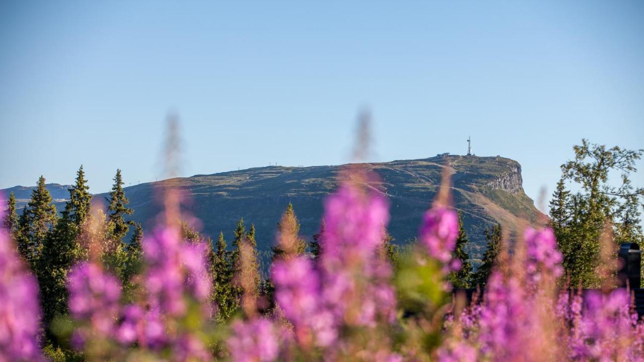 Skeikampen Leilighet, Veslesetervegen 973 F Lägenhet Svingvoll Exteriör bild
