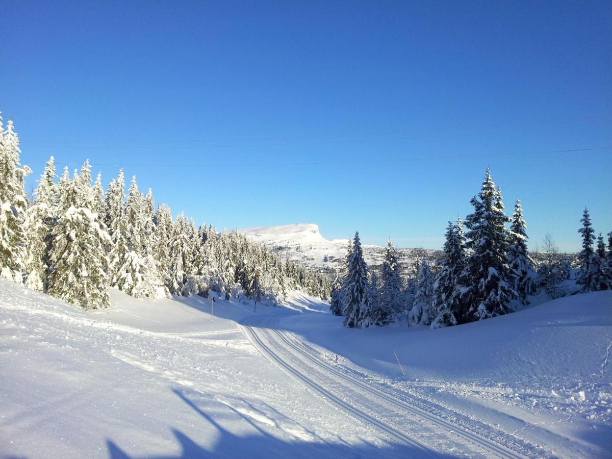Skeikampen Leilighet, Veslesetervegen 973 F Lägenhet Svingvoll Exteriör bild